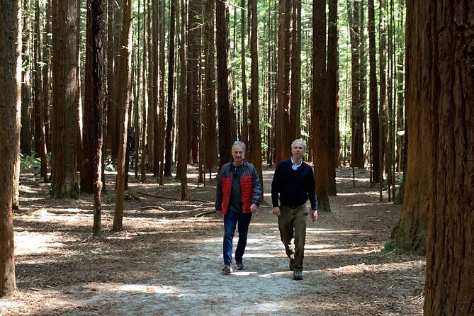 Redwood Forest , Blue Springs & Huka Falls Day Tour from Auckland - Taupo lunch: flexibility at your own cost
