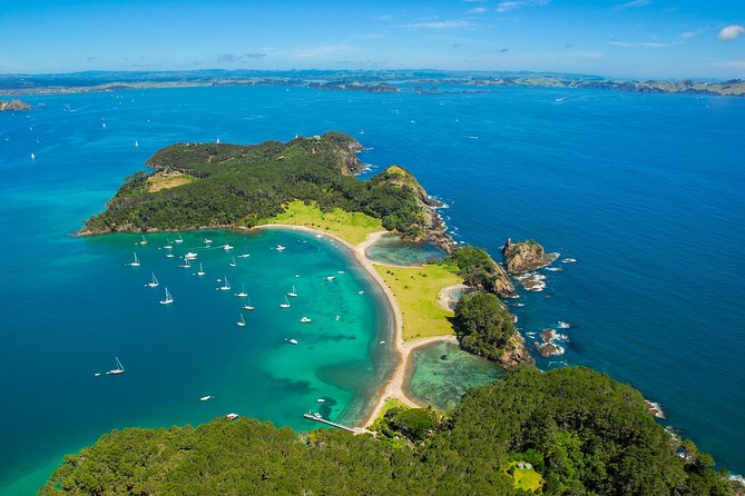 Redwood Forest , Blue Springs & Huka Falls Day Tour from Auckland - What the $372.34 price really buys