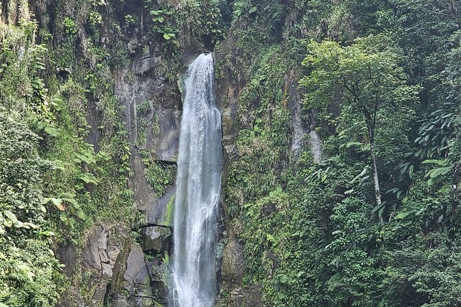 Relax in Hot Springs and swim in Titou Gorge and Trafalgar Falls - Seeing the twin cascades at Trafalgar Falls
