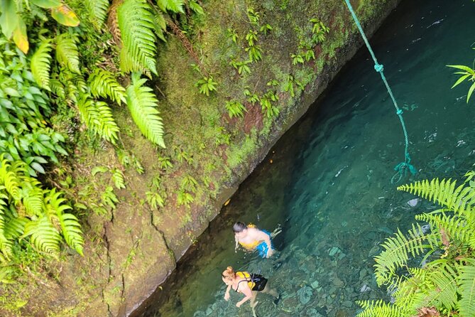 Relax in Hot Springs and swim in Titou Gorge and Trafalgar Falls - Is $110 a good value?