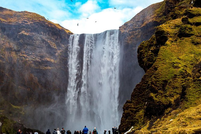 Reykjavik: South Coast, Waterfalls & Glacier Hike Small-Group - Why this South Coast trip earns its price