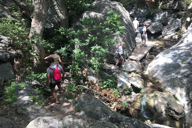 Richtis Waterfall, History, Azoria, OliveTasting, NorthCoast - A small-group road trip into eastern Crete