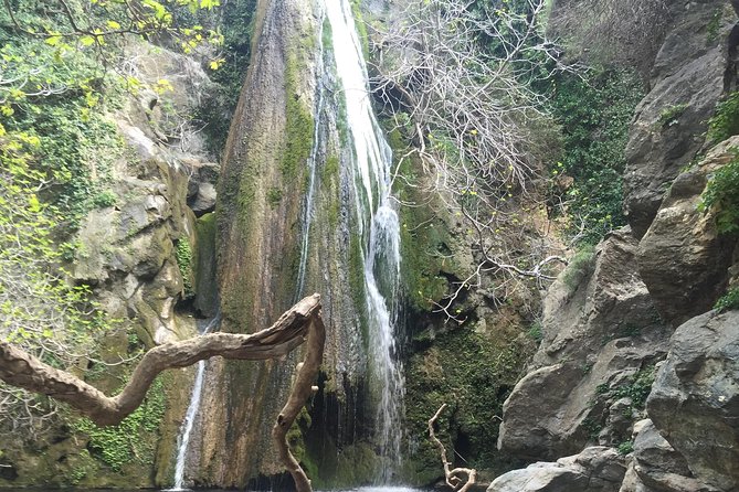 Richtis Waterfall, History, Azoria, OliveTasting, NorthCoast - What the $119.47 price includes