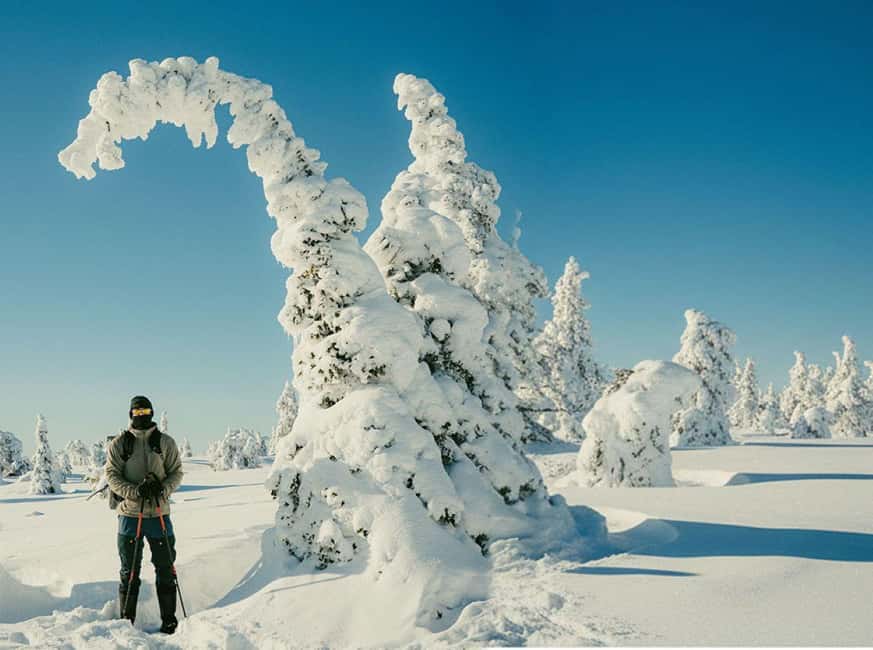 Riisitunturi & Frozen Waterfall Full Day Tour with Photos - Why Riisitunturi is the main event
