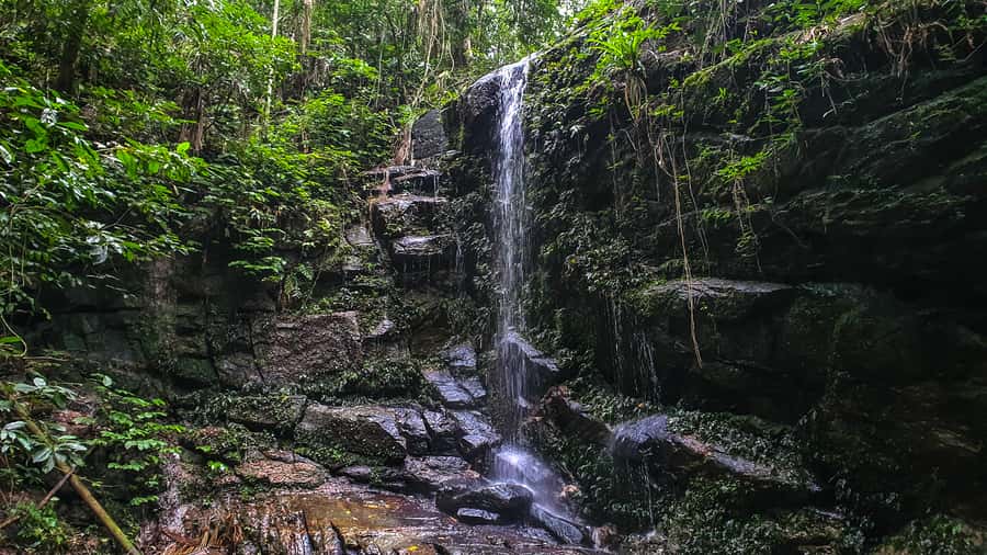 Rio de Janeiro: Tijuca Forest Waterfall of Souls Hike - Key points to know before you book