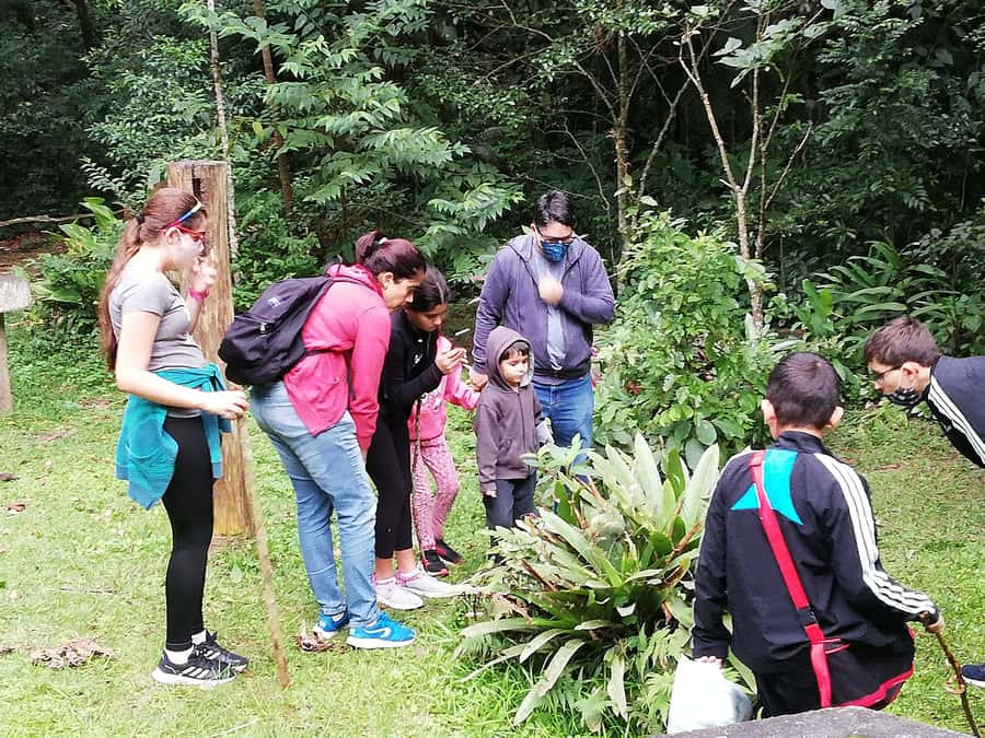 Rio de Janeiro: Tijuca Forest Waterfall of Souls Hike - Starting at the green park gate