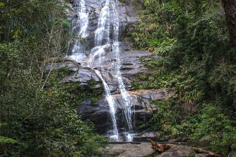 Rio de Janeiro: Tijuca Forest Waterfall of Souls Hike - Crossing the first stream and entering the forest