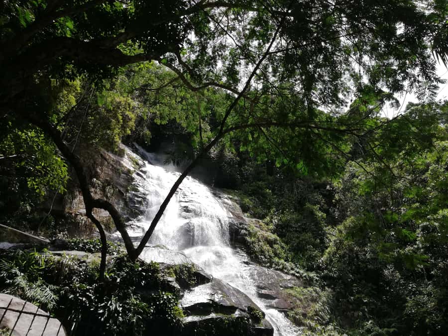 Rio de Janeiro: Tijuca Forest Waterfall of Souls Hike - The $60 price and what it includes
