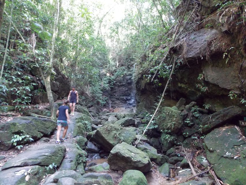 Rio: Tijuca Forest & Horto Waterfalls Circuit Tour - Key Points to Know