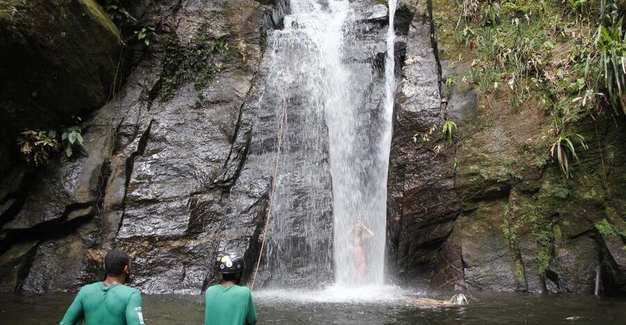Rio: Tijuca Forest & Horto Waterfalls Circuit Tour - What the Four Hours Actually Feel Like