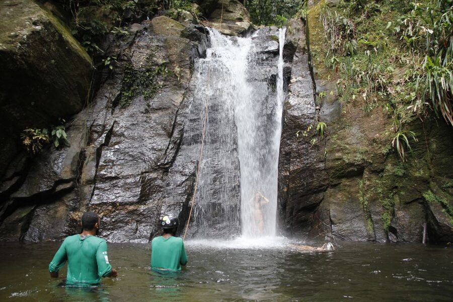 Rio: Tijuca Forest & Horto Waterfalls Circuit Tour - Forest Wildlife and the Chinese Lookout