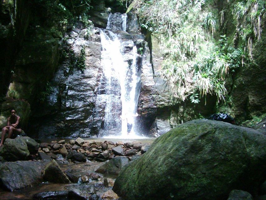 Rio: Tijuca Forest & Horto Waterfalls Circuit Tour - Guide Quality and Language Options