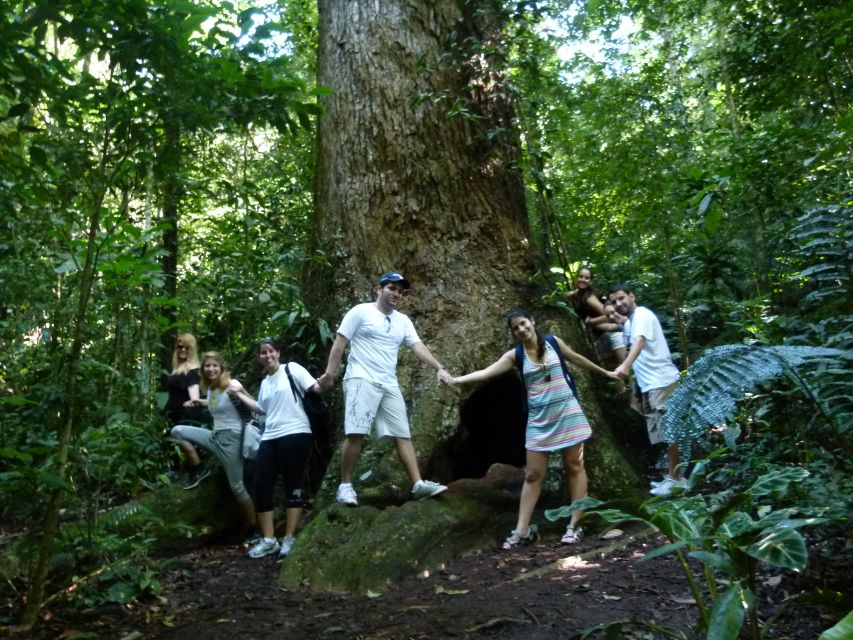 Rio: Tijuca Forest & Horto Waterfalls Circuit Tour - Is $56 a Fair Price?