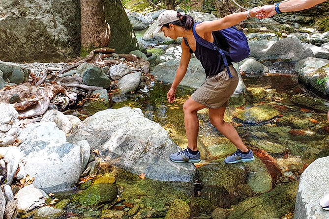 River Trekking to the Waterfall in Andros - The return route through the forest