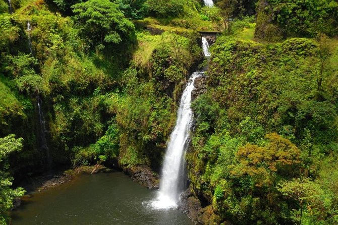 Road To Hana Black Sand Beach Waterfalls & Turtles Tour - What the six-and-a-half-hour day feels like