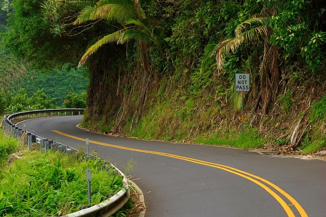 Road to Hana: Full-Day Scenic Drive with Blacksand & Waterfalls - Hana Farms and the pleasure of buying local