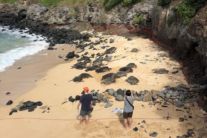 Road to Hana: Full-Day Scenic Drive with Blacksand & Waterfalls - What $209.99 buys you
