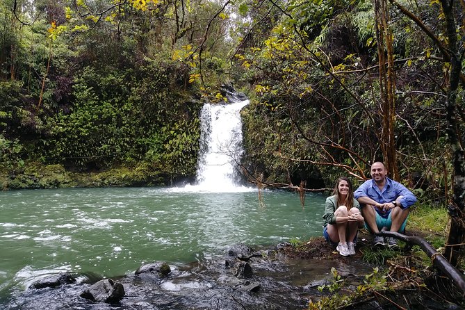 Road To Hana: Maui Waterfall Hiking Tour in Private Jeep - The bamboo forest walk