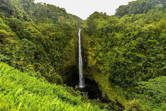 Road To Hana: Maui Waterfall Hiking Tour in Private Jeep - The 7 a.m. pickup and the first hours on the highway