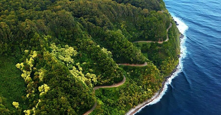 Road to Hana: Professional Guide, Food, Swimming, Waterfalls - Why letting someone else drive matters on the Road to Hana