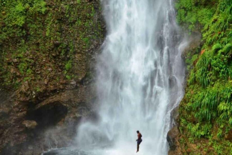 Roseau: Guided Day Trip to Popular Waterfalls - Key things to know before you go