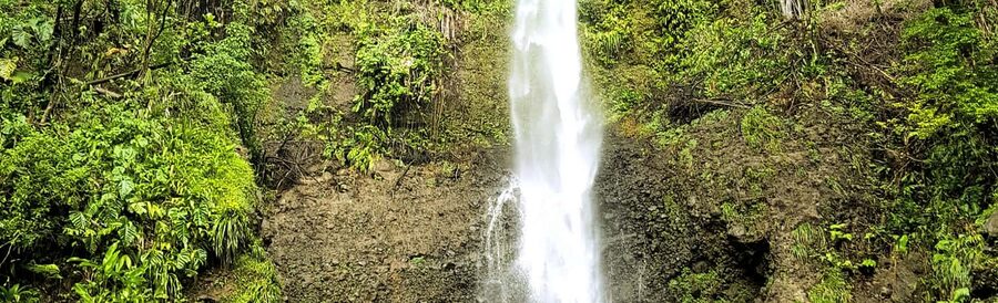 Roseau: Guided Day Trip to Popular Waterfalls - Why this half-day trip works in Dominica