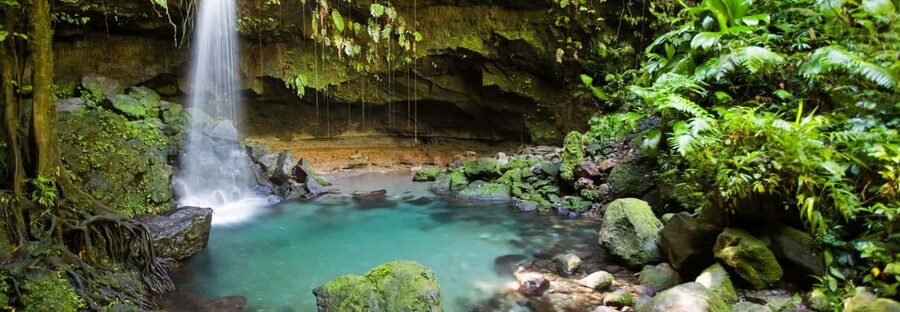 Roseau: Guided Day Trip to Popular Waterfalls - Who should book this experience?