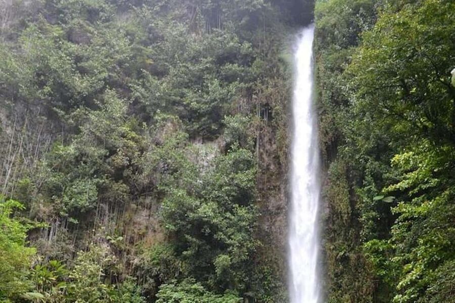 Roseau: Middleham Falls Hike & Titou Gorge Half-Day Trip - Key points to know before booking