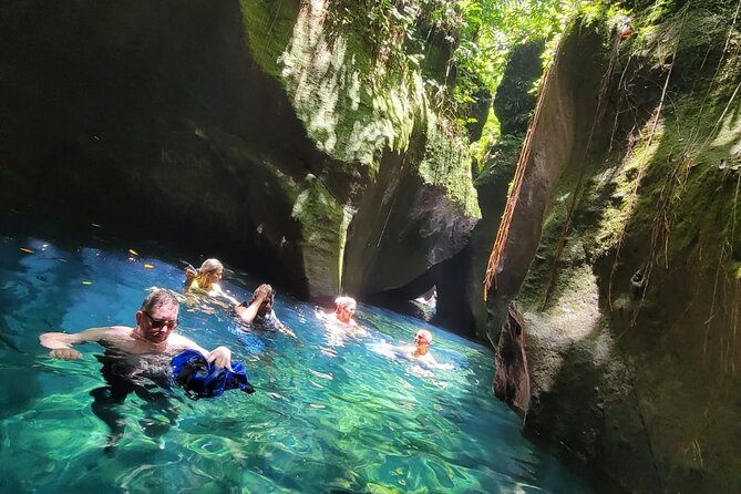 Roseau Rainforest Adventure to Waterfalls & water canyon swimming - Key points before you book