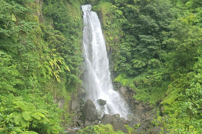 Roseau Rainforest Adventure to Waterfalls & water canyon swimming - Titou Gorge is the main adventure