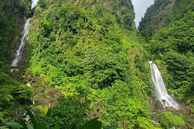 Roseau Rainforest Adventure to Waterfalls & water canyon swimming - The personal service is part of the value