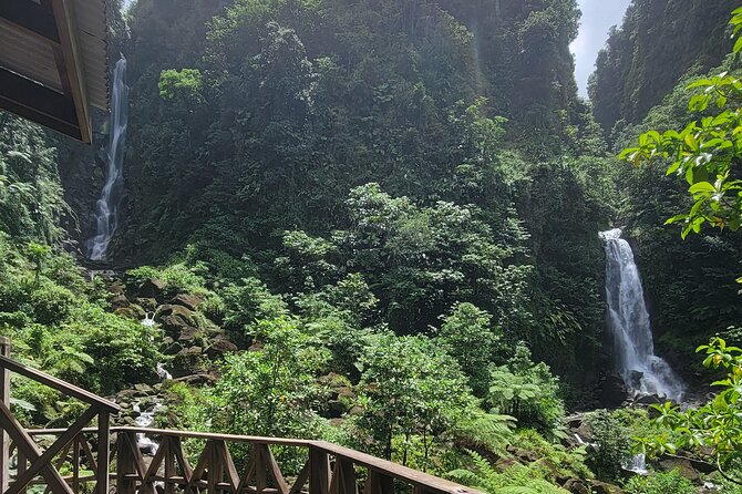 Roseau Rainforest Adventure to Waterfalls & water canyon swimming - Timing matters if you arrive by cruise ship