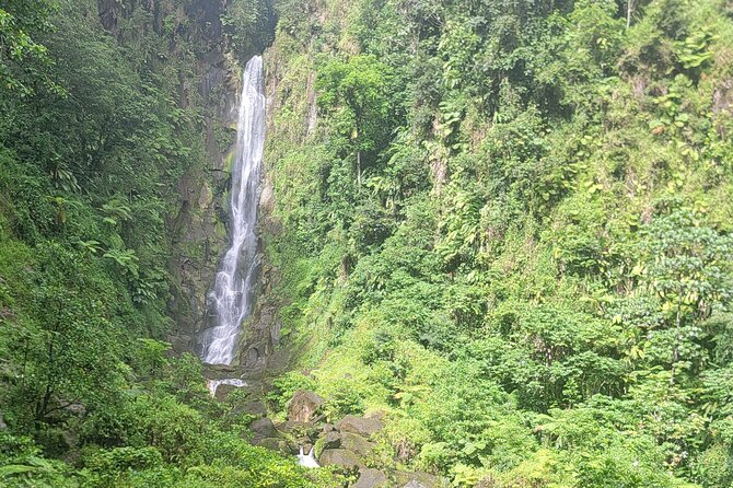 Roseau Rainforest Adventure to Waterfalls & water canyon swimming - What to bring and what to expect