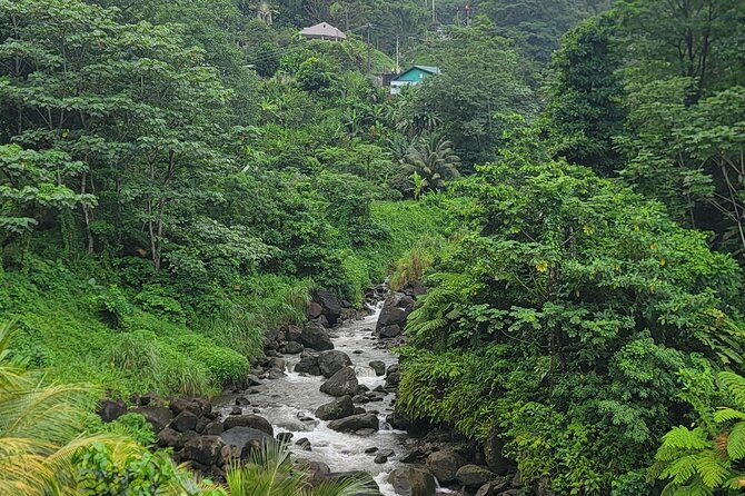 Roseau Rainforest Adventure to Waterfalls & water canyon swimming - Cancellation and weather details