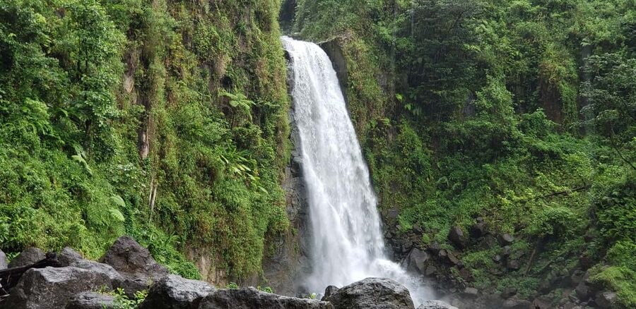 Roseau: Titou Gorge, Hot Spring, Falls & Champagne Reef Tour - Titou Gorge: the most thrilling forty minutes