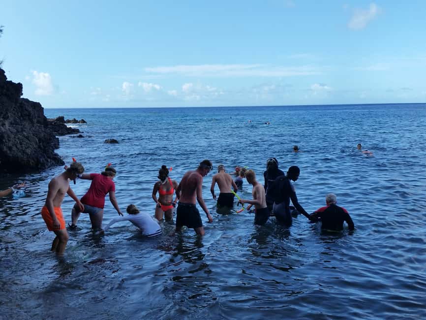 Roseau: Titou Gorge, Hot Spring, Falls & Champagne Reef Tour - Trafalgar Falls and the quick taste of rainforest