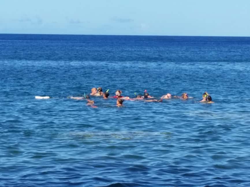 Roseau: Titou Gorge, Hot Spring, Falls & Champagne Reef Tour - Champagne Reef and Dominica’s underwater bubbles