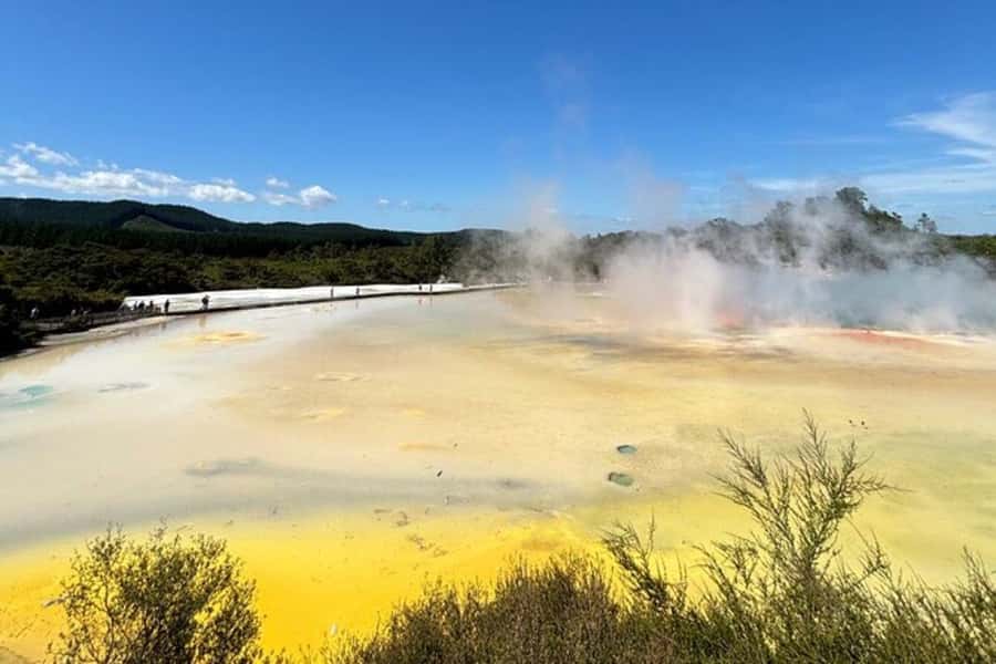 Rotorua & Taupo DayTour Waiotapu & Huka Falls from Auckland - Lady Knox Geyser adds a timed spectacle
