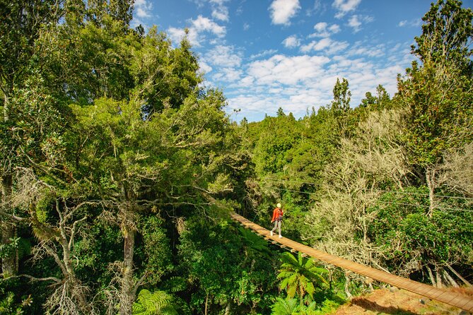 Rotorua Ziplines - Okere Falls Experience - How the guides handle nerves and safety