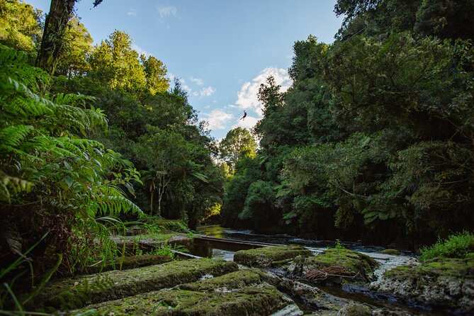 Rotorua Ziplines - Okere Falls Experience - Is $104.88 good value for 2.5 hours?