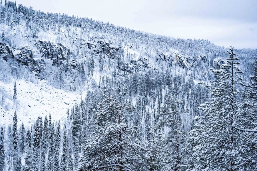 Rovaniemi: Frozen Waterfalls of Korouoma Canyon & Pro Photos - Three frozen waterfalls and a changing view