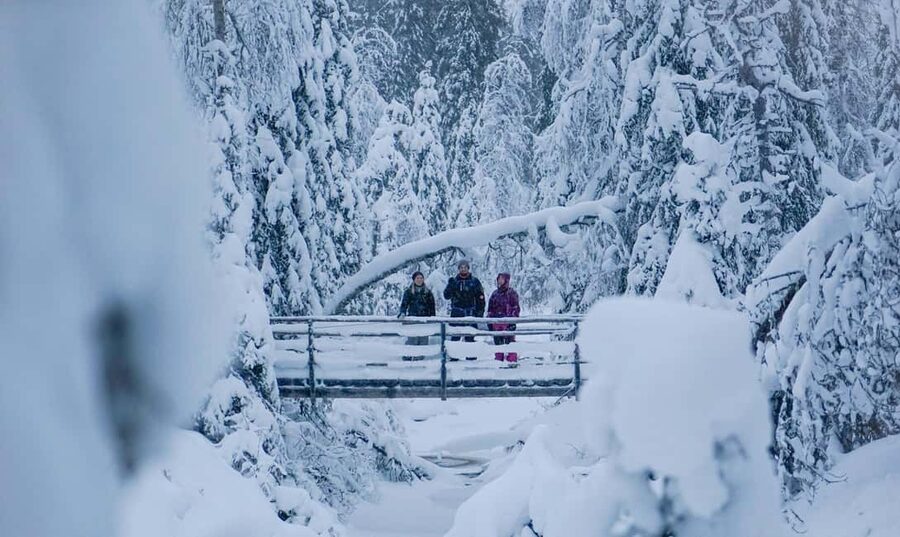 Rovaniemi: Korouoma Canyon and Frozen Waterfalls Tour - Booking, cancellation, and timing details