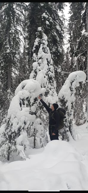 Rovaniemi: Korouoma Frozen Waterfalls Hike & Hot BBQ Lunch - Why Korouoma is worth a full day from Rovaniemi