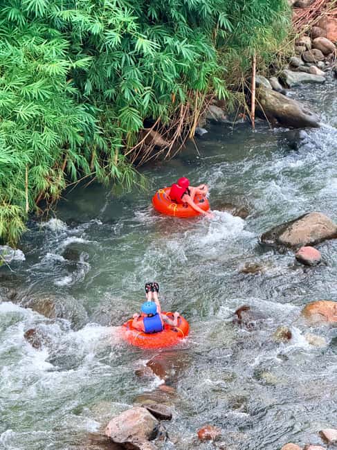 Saint George's: Grenada River Tubing & Waterfall island tour - Grand Etang Lake and the Mona monkeys