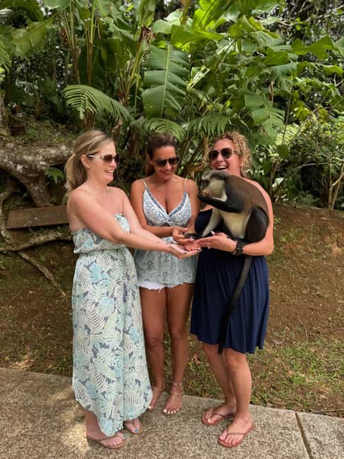 Saint George's: Grenada River Tubing & Waterfall island tour - Is $150 a fair price?