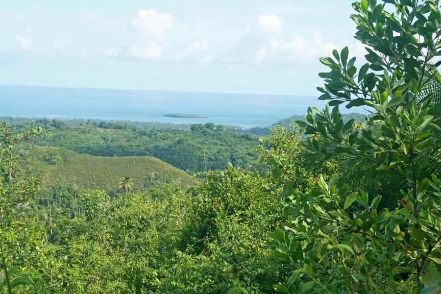 Samaná: El Limón Waterfall Horseback Riding Tour - Why El Limón makes a good half-day outing