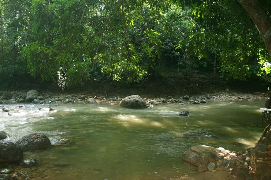 Samaná: El Limón Waterfall Horseback Riding Tour - The horseback route through Samaná countryside