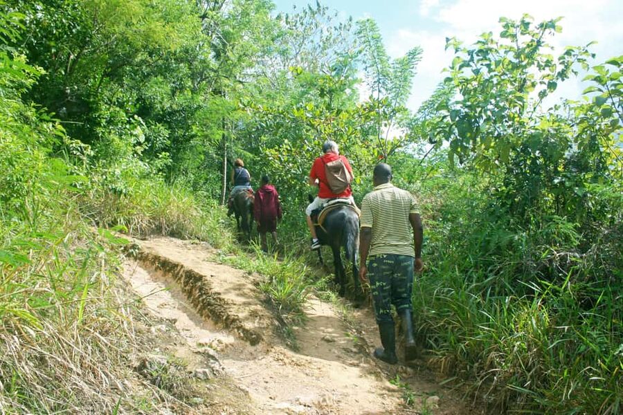 Samaná: El Limón Waterfall Horseback Riding Tour - Languages, timing, and what to pack