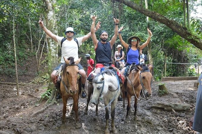 Samana - Key Levantado - Limon Waterfall - Horseback Riding - Group size, guides, and the real pace