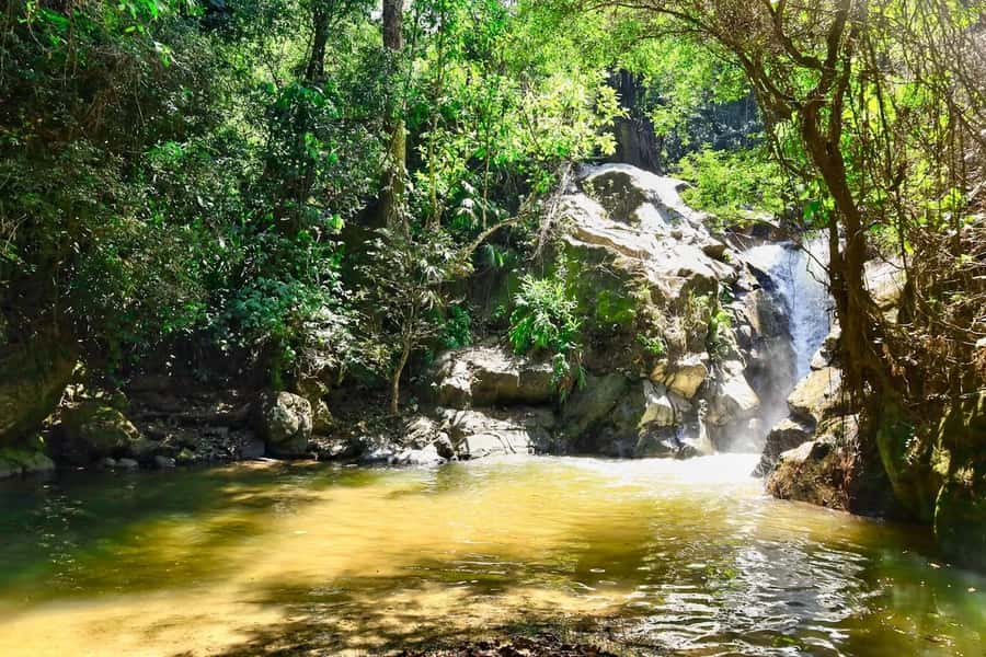 Santa Marta: Minca Coffee, Cocoa, & Waterfall Full-Day Trip - Is $78 good value?